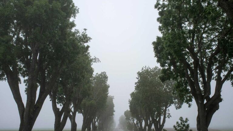 How Can I Finish 11Xplay Registration Online Login Quickly?